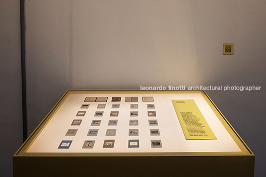 pétalas e estrelas juliana godoy