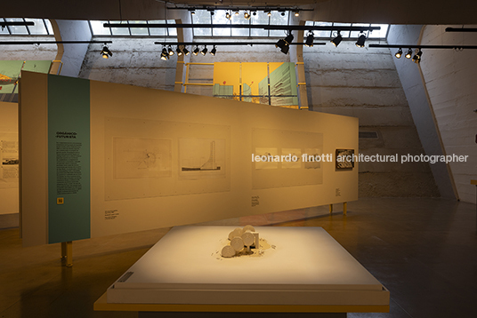 pétalas e estrelas juliana godoy