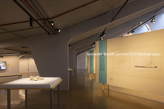 pétalas e estrelas juliana godoy