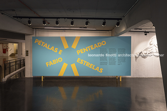 fábio penteado: pétalas e estrelas guilherme wisnik