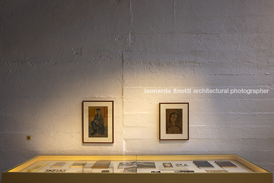 fábio penteado: pétalas e estrelas guilherme wisnik