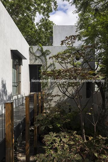 casa molusco pantera javier dueñas