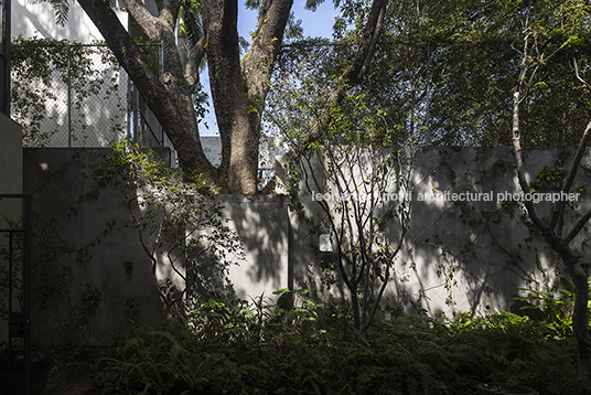 casa molusco pantera javier dueñas