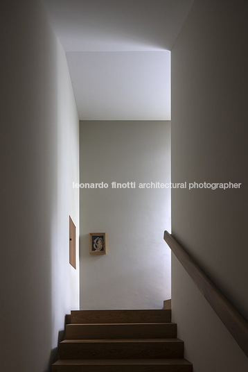 casa molusco pantera javier dueñas