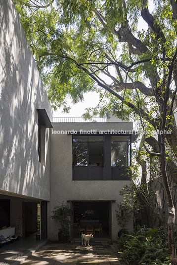 casa molusco pantera javier dueñas