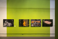 exposição futebol território-êxtase/viafoto eder chiodetto