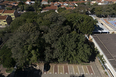 sesc araraquara abrahão sanovicz