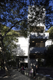 sesc piracicaba botti rubin