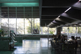 sesc interlagos botti rubin