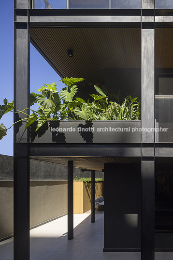 edifício 141 living acaraí alessandra lima