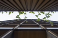 edifício 141 living acaraí alessandra lima