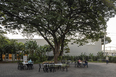 sesc campinas ícaro de castro mello