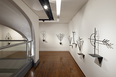 exposição josé adário - museu inimá de paula 