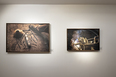 exposição josé adário - museu inimá de paula 